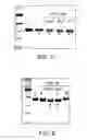 Fig. 06 - Deglycosylation reagents and methods