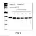 Fig. 09 - Deglycosylation reagents and methods