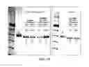 Fig. 18 - Deglycosylation reagents and methods
