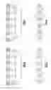 Fig. 06 - Immunodiagnostic test element having weakened foil layer