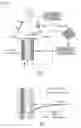 Fig. 02 - Head-integrated atomic force microscope and composite microscope including same