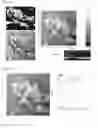 Fig. 08 - Head-integrated atomic force microscope and composite microscope including same