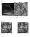 Fig. 09 - Head-integrated atomic force microscope and composite microscope including same