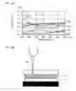Fig. 05 - Color filter forming substrate, method of manufacturing same and display device