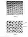 Fig. 04 - Coated optical substrates having first and second groups of functional dots having different functionalities and micrometer height difference