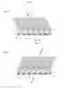 Fig. 06 - Optical devices with patterned anisotropy incorporating parallax optic