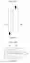 Fig. 55 - Planar optical waveguide device, polarization multiplexing 4-value phase modulator, coherent receiver, and polarization diversity