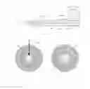 Fig. 27 - Ferrule assembly and ferrule device
