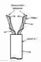 Fig. 01 - Optical cable containing fiber bundles and thread for tying the bundles