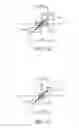 Fig. 07 - Three-dimensional display device