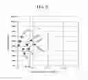 Fig. 06 - Display device and manufacturing method thereof