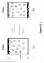 Fig. 03 - Color display device