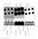 Fig. 06 - Methods, apparatus, and systems for minimizing defectivity in top-coat-free lithography and improving reticle CD uniformity