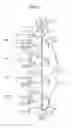 Fig. 04 - Developing member, method of producing developing member, process cartridge, and electrophotographic apparatus