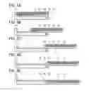 Fig. 06 - Electronic device