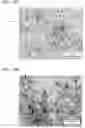 Fig. 17 - Element and formation method of film