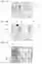 Fig. 18 - Element and formation method of film