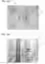 Fig. 19 - Element and formation method of film