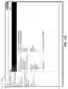 Fig. 34 - Time-series analysis system