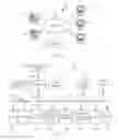 Fig. 02 - Object-based storage management