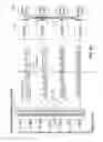 Fig. 11 - Cache storing data fetched by address calculating load instruction with label used as associated name for consuming instruction to refer