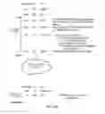 Fig. 09 - Data processing apparatus and method for performing lock-protected processing operations for multiple threads