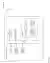 Fig. 06 - Minimizing resource contention while loading graph structures into a distributed database
