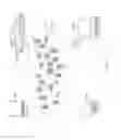 Fig. 06 - Web search based on browsing history and emotional state