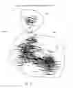 Fig. 12 - Systems and Methods for Identifying Influencers and Their Communities in a Social Data Network