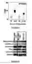 Fig. 06 - Method for determining the risk profile of neoplastic tissue