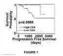 Fig. 07 - Method for determining the risk profile of neoplastic tissue