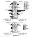 Fig. 13 - Method for determining the risk profile of neoplastic tissue