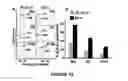 Fig. 15 - Method for determining the risk profile of neoplastic tissue