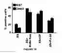 Fig. 19 - Method for determining the risk profile of neoplastic tissue