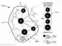 Fig. 01 - Artificial general intelligence system and method for medicine that determines a pre-emergent disease state of a patient based on mapping a topological module