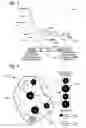 Fig. 03 - Artificial general intelligence system and method for medicine that determines a pre-emergent disease state of a patient based on mapping a topological module
