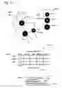 Fig. 07 - Artificial general intelligence system and method for medicine that determines a pre-emergent disease state of a patient based on mapping a topological module