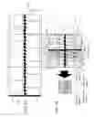 Fig. 10 - Information recording medium, columnar body having information recording medium affixed thereto, information reading device therefor, pharmaceutical injection device using this information reading device, information reading method, and non-transitory computer readable medium