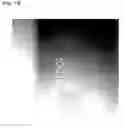 Fig. 18 - Portable optical reader