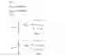 Fig. 06 - BIOMETRIC TEMPLATE SECURITY AND KEY GENERATION