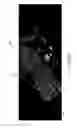 Fig. 15 - AUTOMATED COMPOUND STRUCTURE CHARACTERIZATION IN OVERHEAD IMAGERY