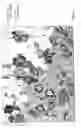 Fig. 06 - Automatic glandular and tubule detection in histological grading of breast cancer