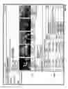 Fig. 17 - Method, system, and non-transitory computer-readable medium for constructing and applying synaptic networks
