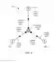 Fig. 08 - Paramagnetic tree coupling of spin qubits