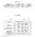 Fig. 11 - CUSTOMER ANALYSIS SYSTEM