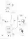Fig. 02 - Image capture interface