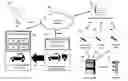 Fig. 01 - Systems and Methods for Location-Based Fuel Distribution