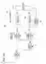 Fig. 37 - Image enlarging apparatus, image enlarging method, surveillance camera, program and recording medium