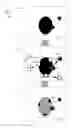 Fig. 01 - Image synthesis utilizing an active mask