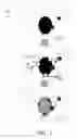 Fig. 02 - Image synthesis utilizing an active mask